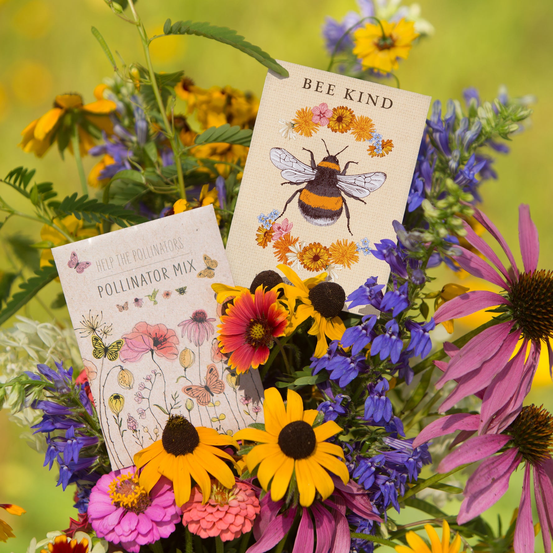 bee friendly wildflower seeds Bee Kind