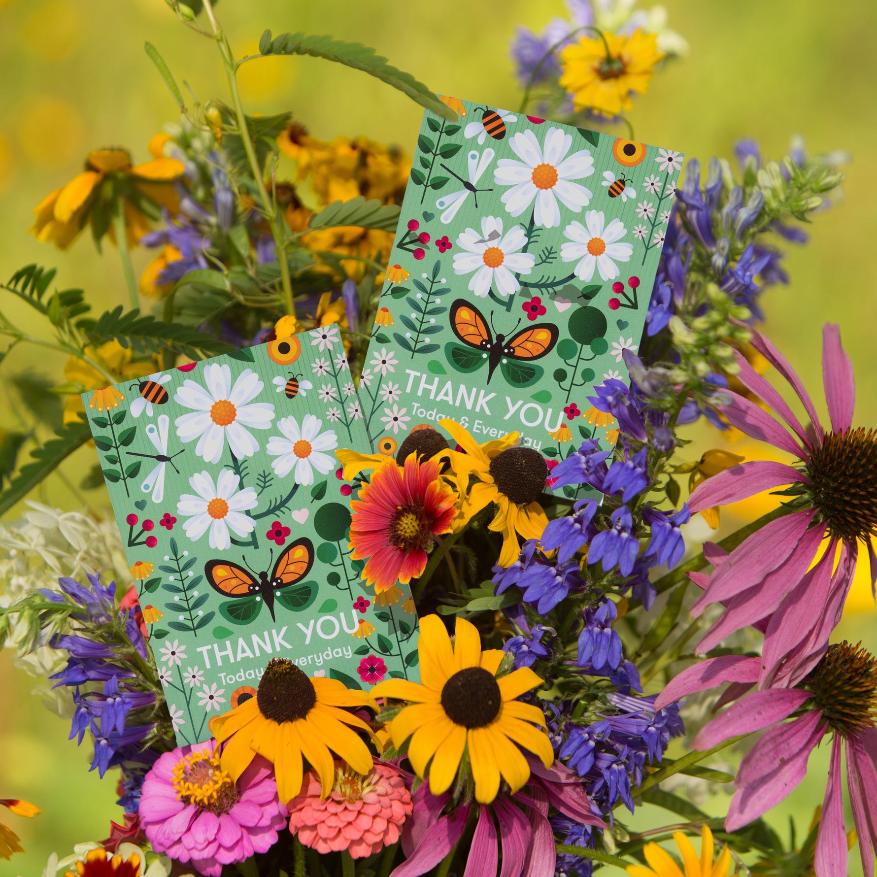 plant seeds of gratitude Thank You Today Everyday