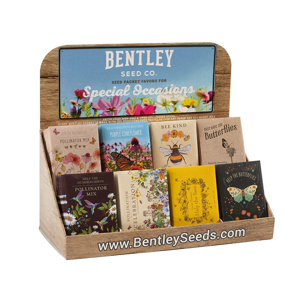 Buy Birth Flower Seed Growing Gift Set, Floral Terracotta Pot With Seeds,  Personalised Wooden Plant Label, Seed Kit, Grow Your Own Online in India -  Etsy
