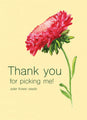 Thanks For Picking Me - Aster Mix Seed Packets - Bentley Seeds