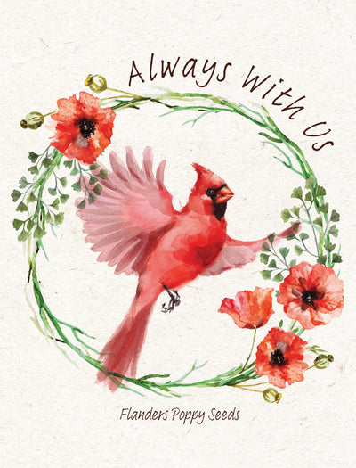Memorial Cardinal garden seeds