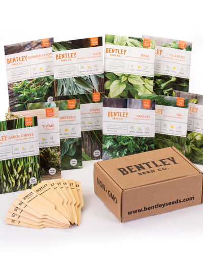 Culinary Herbs Seed Packet seed packet