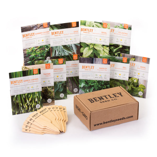 Culinary Herbs Seed Packet Kit - Bentley Seeds