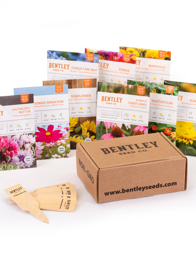 Flowers Seed Packet flower seeds