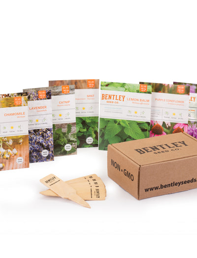 Medicinal Herbs Seed Packet garden seeds