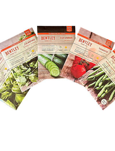 Five packages of Bentley Seeds on a white background