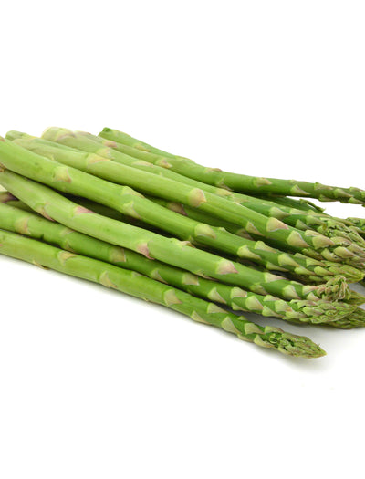 Asparagus, Mary Washington flower seeds
