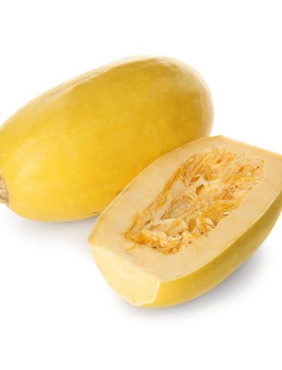 Squash, Spaghetti garden seeds