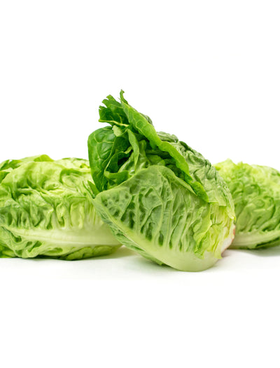 Lettuce, Little Gem seed packet