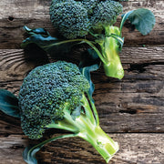 Harvest Garden Seed Packet flower seeds