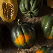 Harvest Garden Seed Packet flower seeds