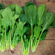 Salad Greens Seed Packet seed packet