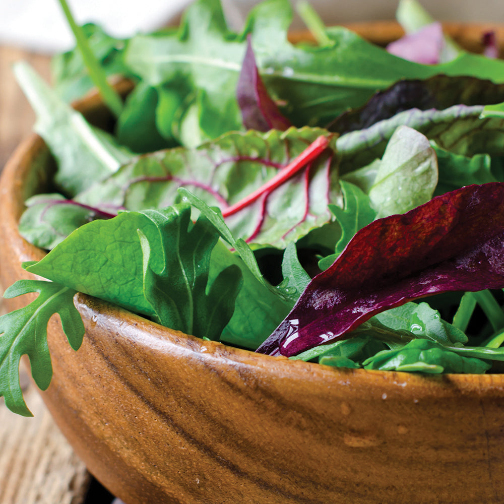 Salad Greens Seed Packet seed packet