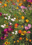 Sincere Condolences Religious Flower Cross - Wildflower Mix Seed Packets - Bentley Seed