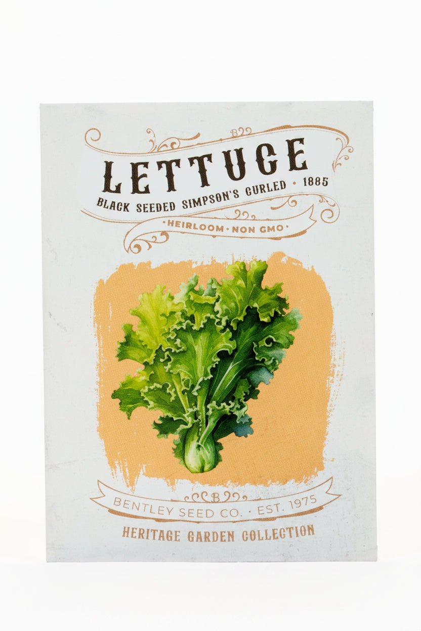 Front of heirloom lettuce seed packet.