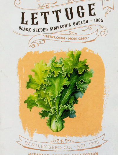 Front of heirloom Black Seed Simpsons Curled Lettuce seed packet.