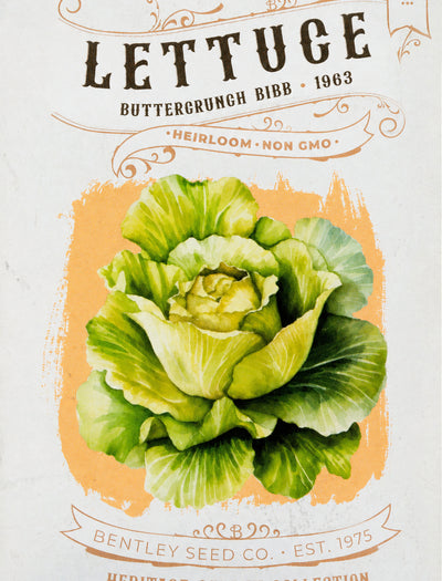 Front of heirloom Buttercrunch Lettuce seed packet. 