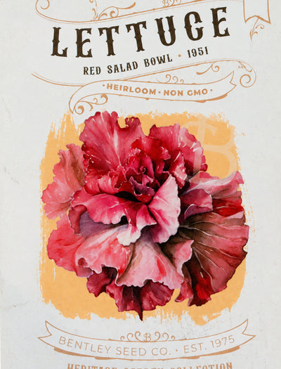 Front of heirloom Red Salad Bowl Lettuce seed packets.