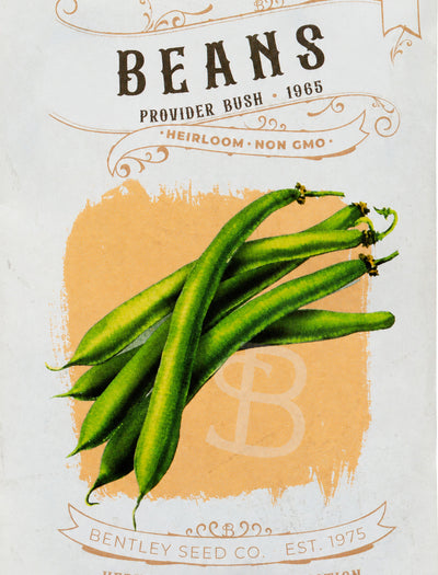 Front of heirloom Provider Bush Beans seed packet. 