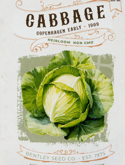 Front of heirloom Copenhagen Cabbage seed packet.