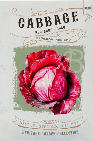 Front of heirloom Red Acre Cabbage seed packet.