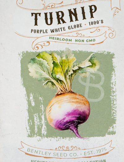 Turnip-Purple White Globe 1800's – Flower Seed Packet