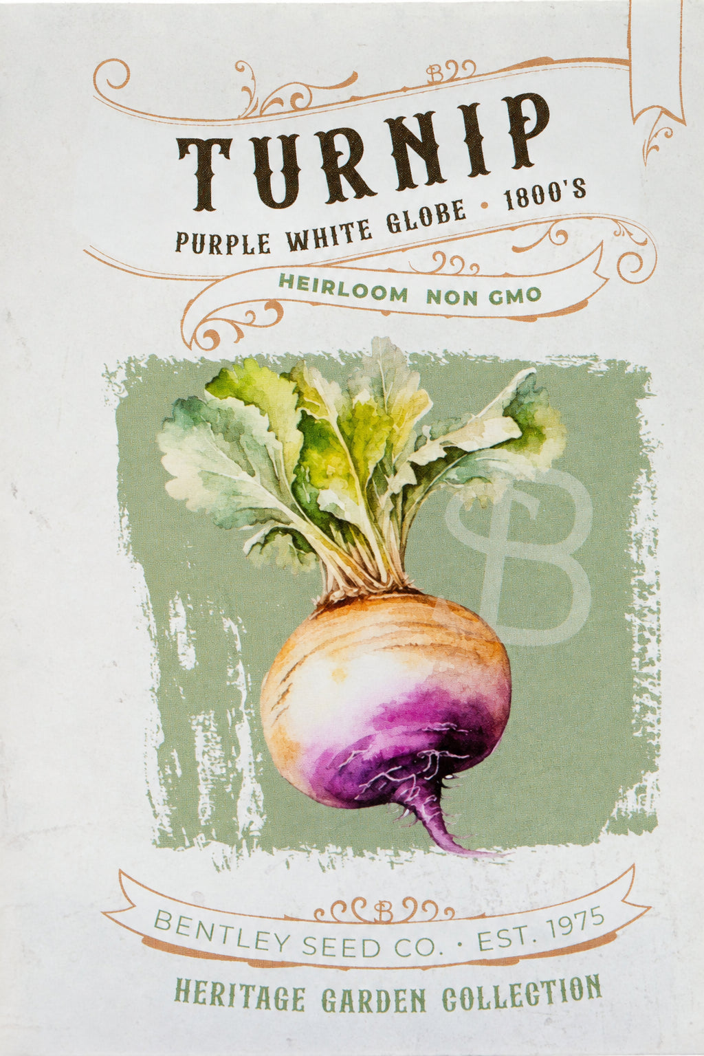 Turnip-Purple White Globe 1800's – Flower Seed Packet