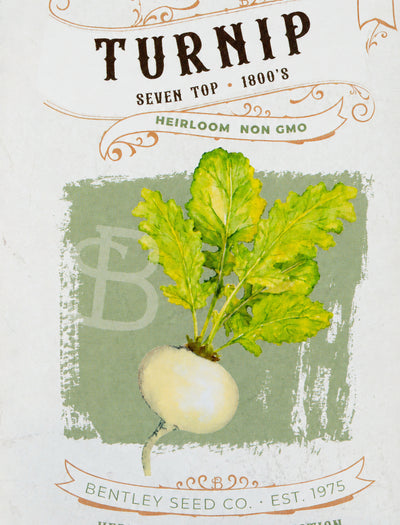 Front of heirloom Seven Top Turnip seed packet.