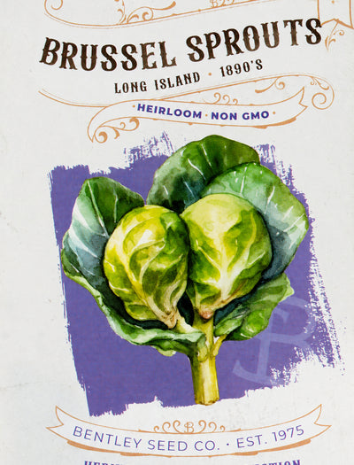 Front of heirloom Long Island Brussels Sprouts Seed Packet.