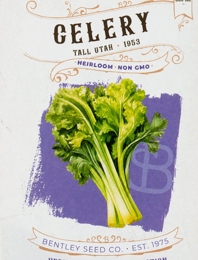 Front of heirloom Tall Utah Celery Seed Packet.