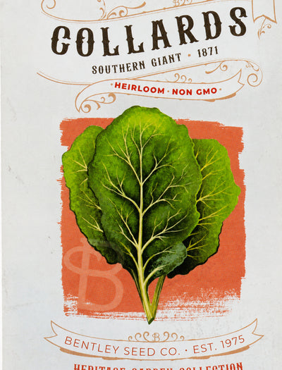 Front of heirloom Southern Giant Collards Seed Packet.