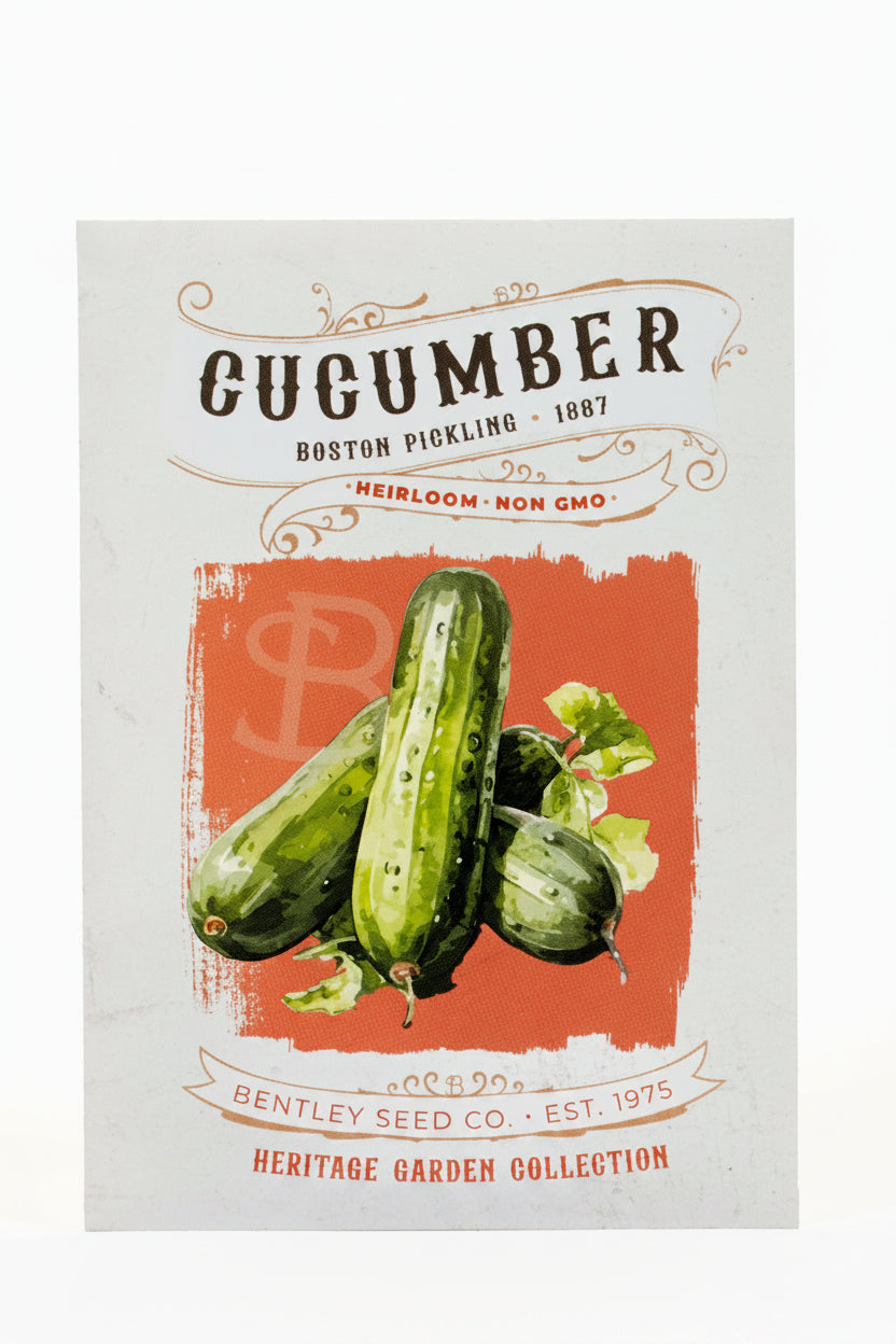 Front of heirloom cucumber seed packet.
