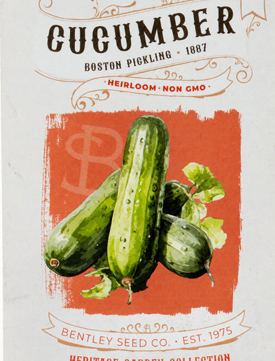Front of heirloom Boston Pickling Cucumber seed packet.