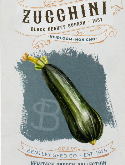 Zucchini-Black Beauty Squash 1957 – Flower Seed Packet