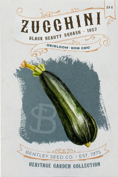 Zucchini-Black Beauty Squash 1957 – Flower Seed Packet