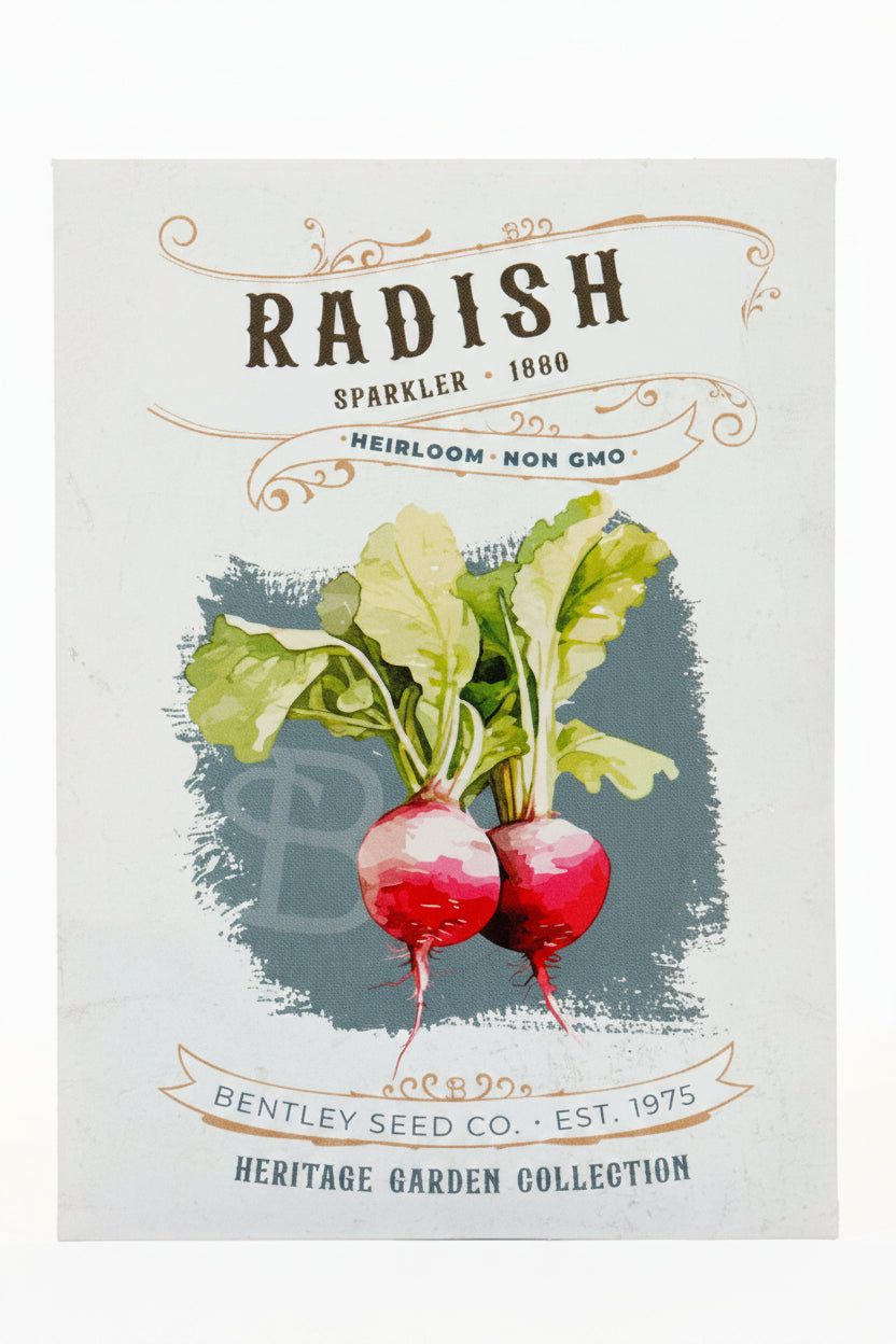 Front of heirloom Radish seed packet.