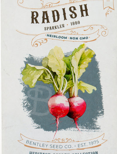 Front of heirloom Sparkler Radish seed packet.
