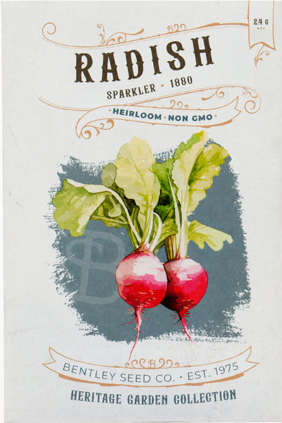 Front of heirloom Sparkler Radish seed packet.