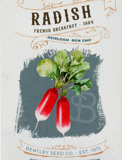 Front of heirloom French Breakfast Radish seed packet.