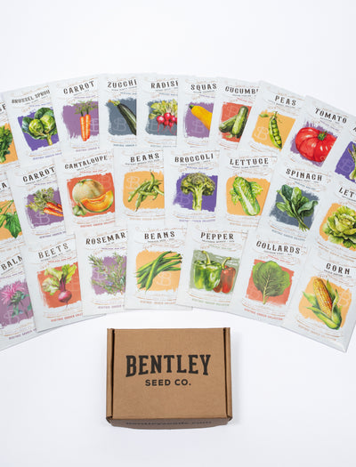 Set of vegetable seed packets with Bentley Seed Co. branding on a white background