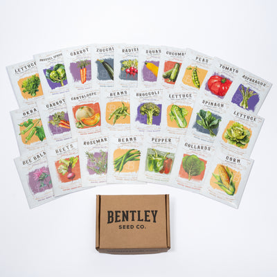 Set of vegetable seed packets with Bentley Seed Co. branding on a white background