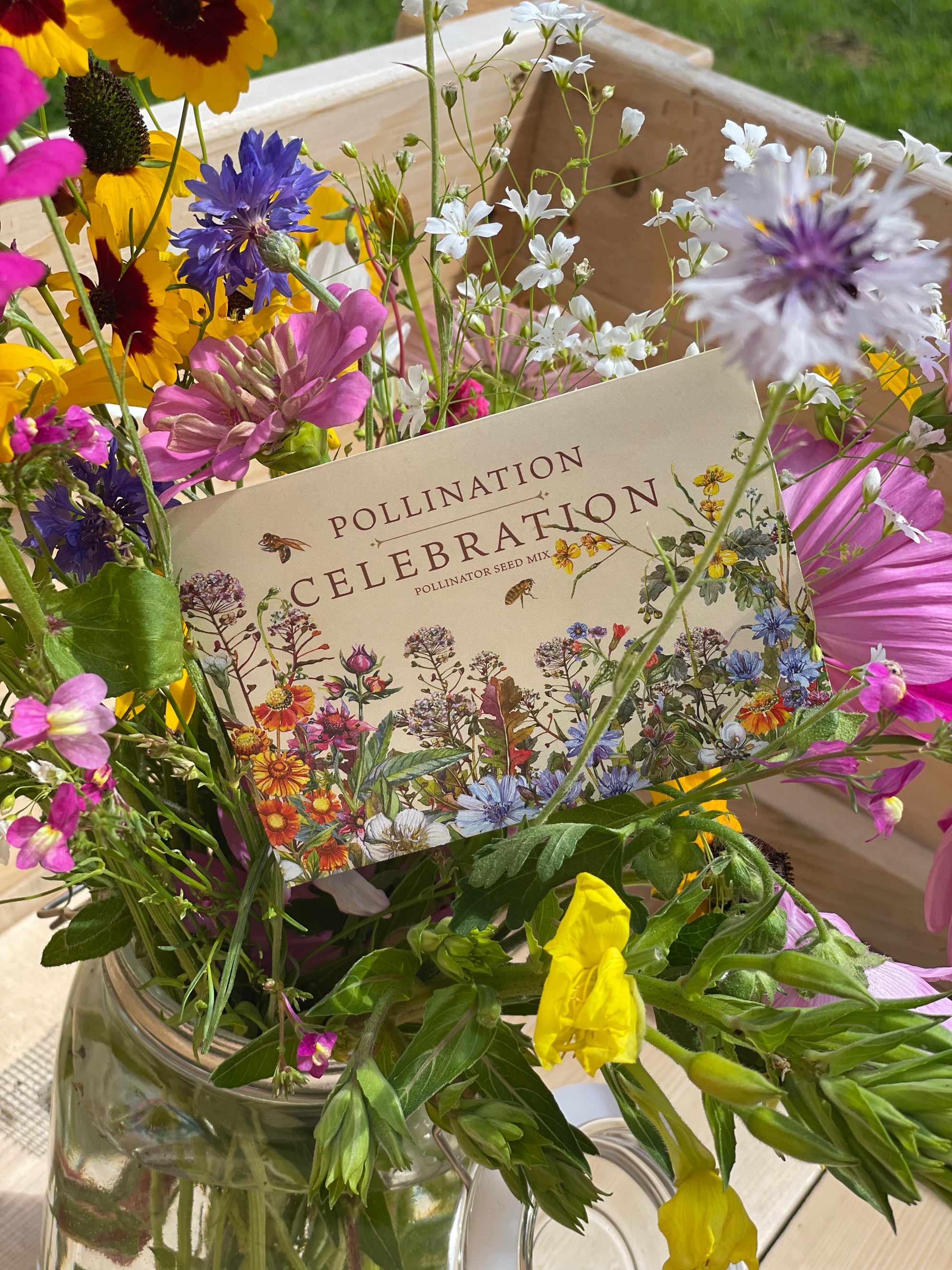 Pollination Celebration - Pollinator Wildflower Mix Seed Packets ...