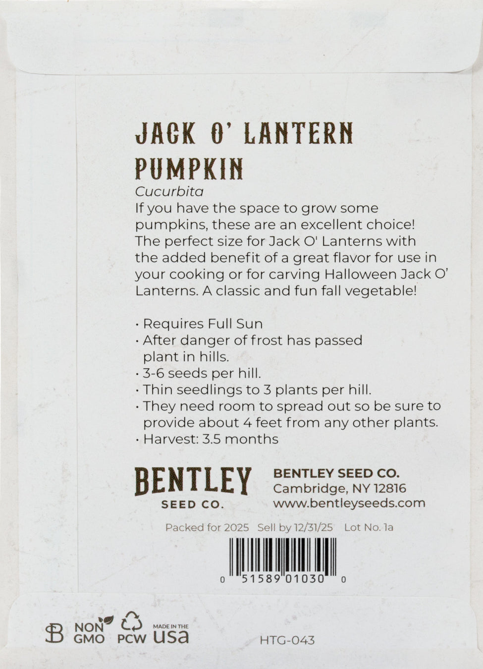 Pumpkin-Jack O' Lantern 1900's | Bentley Seeds