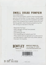 Pumpkin-Small Sugar 1863 Back Packet