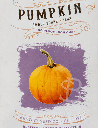 Front of Small Sugar Pumpkin heirloom seed packet.