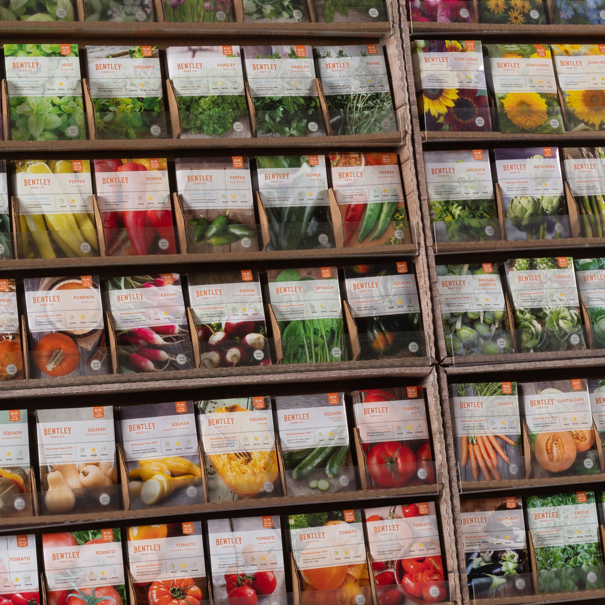 planting seeds from grocery store produce 1000 Piece Assorted Southern Region Vegetable, Herb and Flower Seed Packet Retail POS Corrugated Display