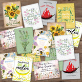 Bulk 250 Piece Birthday Special Occasion Favor Seed Packet Cards