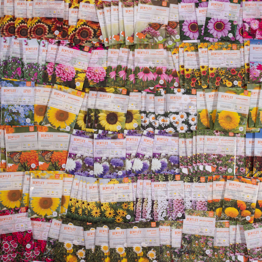 Rustling Packet Bulk Seed Packets | Wholesale Vegetable, Herb & Flower Seeds – Bentley ...