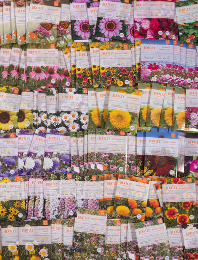 Bulk 250 Piece Western Region Flower Seed Packets flower seeds