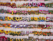 Bulk 2000 Piece Assorted Vegetable, Herb and Flower Seed Packets garden seeds